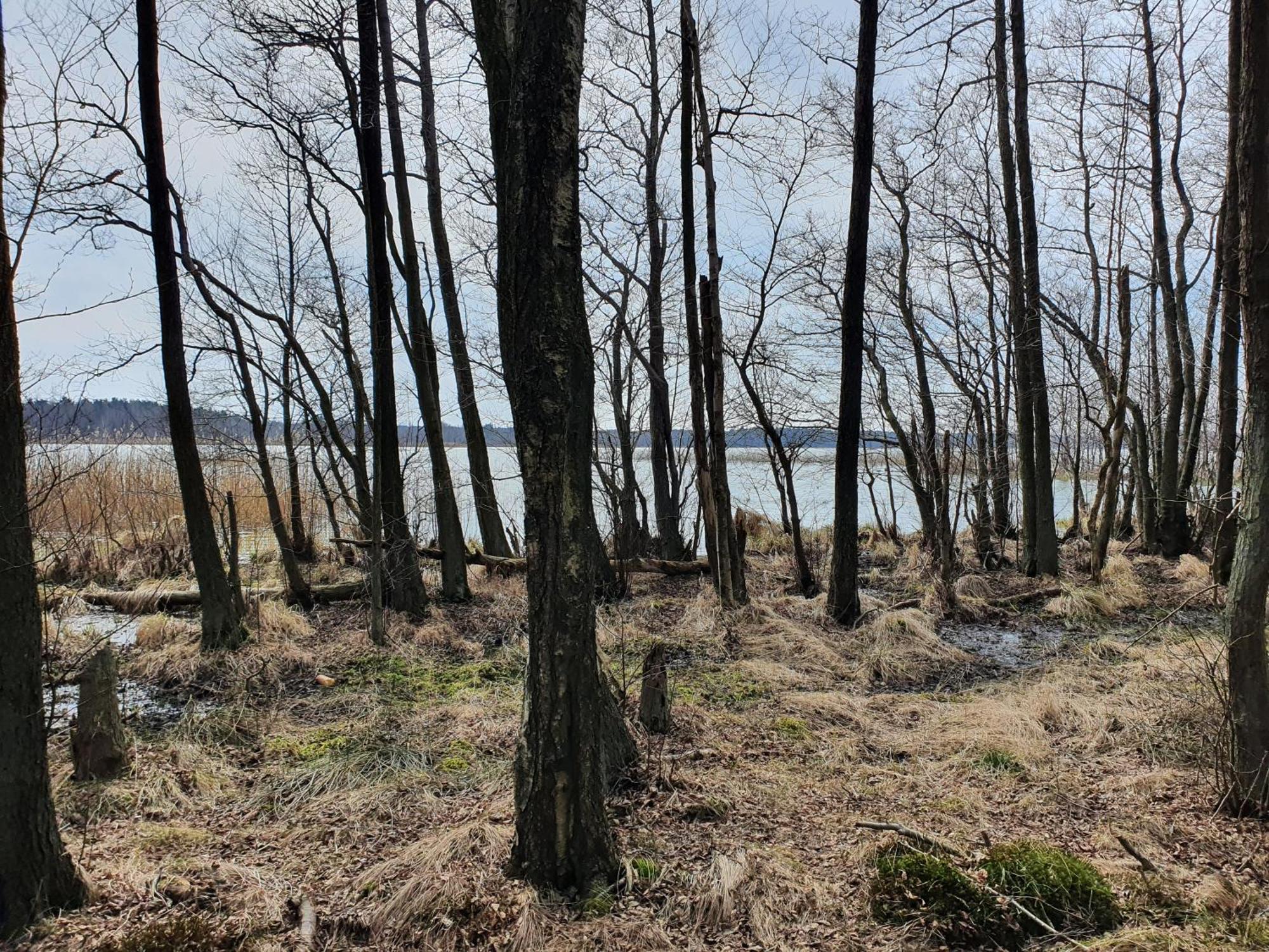 MTK Pokoje i Apartamenty Smołdzino Exteriér fotografie