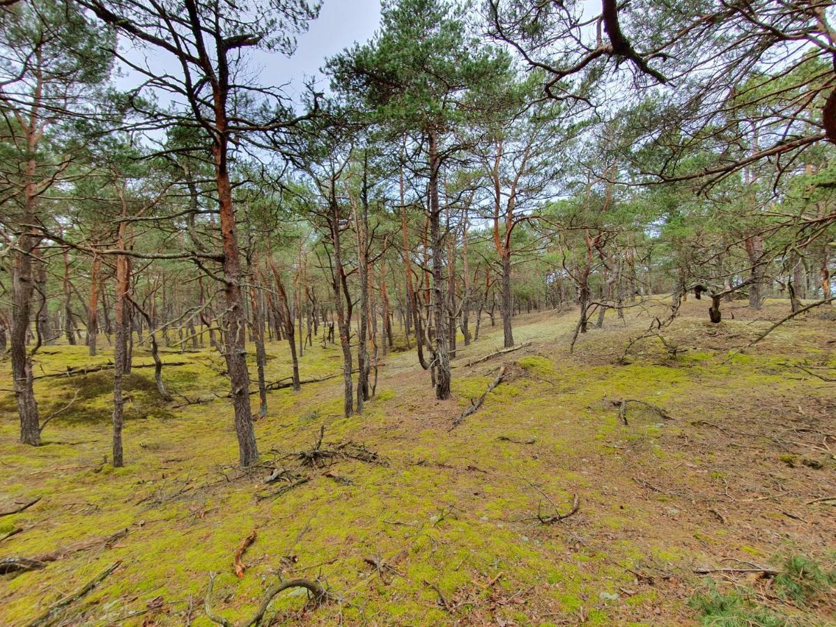 MTK Pokoje i Apartamenty Smołdzino Exteriér fotografie